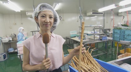 絶品！野菜パウダー♪