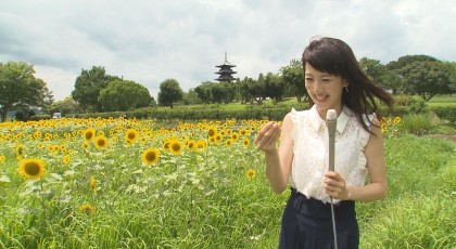 梅雨明け♪ヒマワリ♡