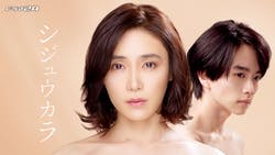 ドラマ24 シジュウカラ