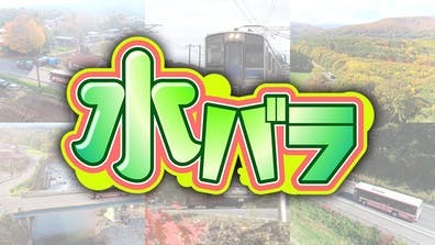 水バラ ローカル路線バス乗り継ぎ対決旅 鬼ごっこ6 春の南房総で追いかけっこ