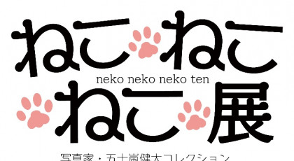 「ねこねこねこ展」写真家・五十嵐健太コレクション