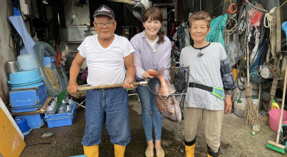 敏子おばあちゃんの鯛の味噌漬け